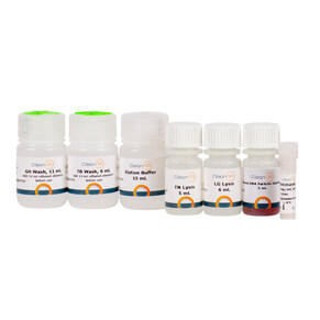 work of glutathione iFSP1 is a Selective FSP1 Inhibitor Glutathione-Independently